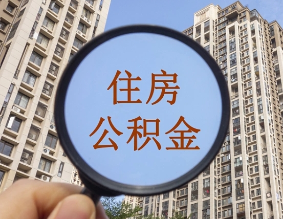 沧县退休后查不到公积金明细了吗（退休后公积金查询不到原因）